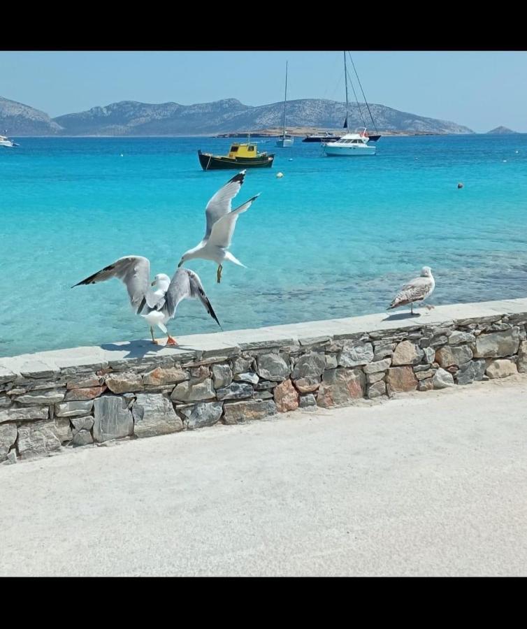 Eos - Appartement De Charme Et Confort Pour 4 Personnes Pres De La Plage Et Du Coeur De Koufonissi Koufonisia Dış mekan fotoğraf